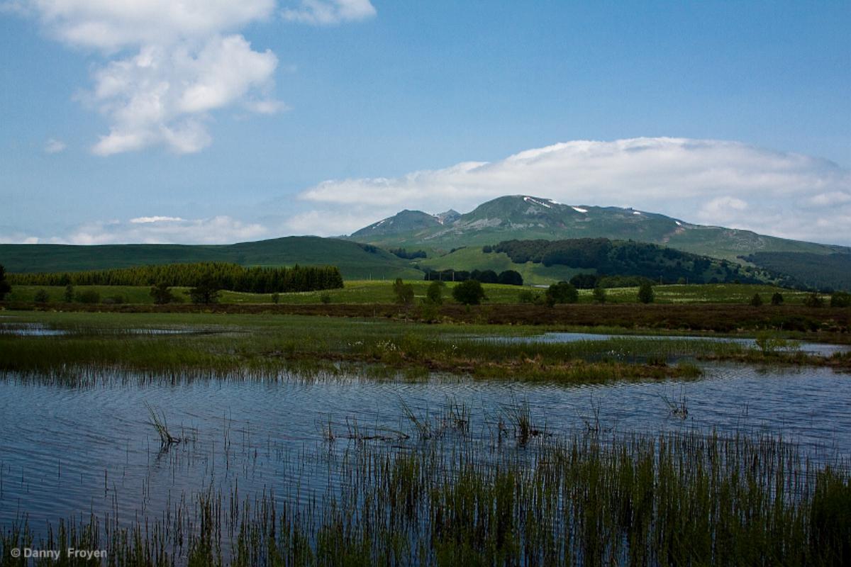 Tourbières de Gayme et Sancy au loin